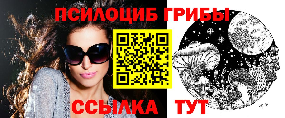 Псилоцибиновые грибы GOLDEN TEACHER  где можно купить наркотик  Маркс  Галлюциногенные грибы Psilocybe  Вход с VPN 